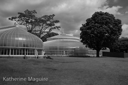 Botanic Gardens