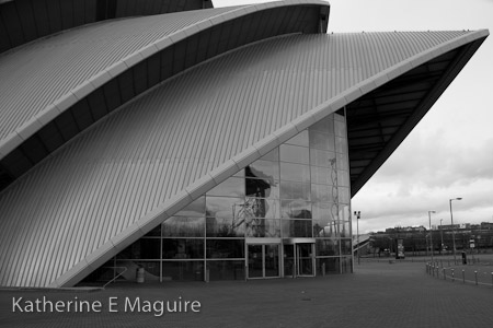 The Armadillo